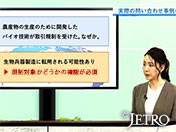 実際の問い合わせ事例に回答